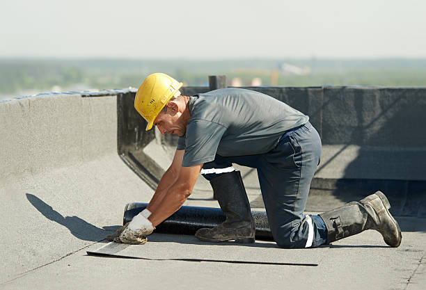 Best Attic Insulation Near Me  in Jal, NM