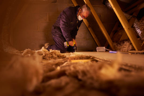 Best Crawl Space Insulation  in Jal, NM